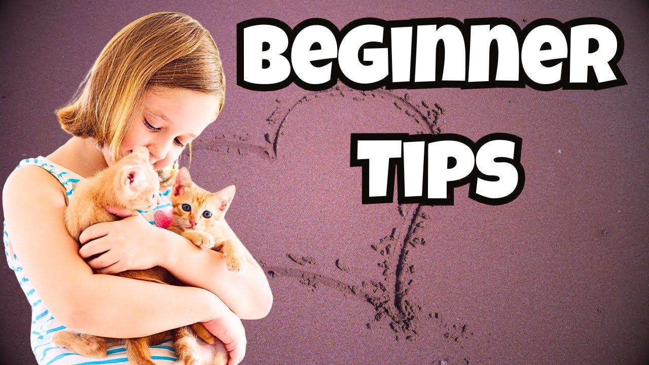 10 Things I Wish I Knew Before Adopting a Cat