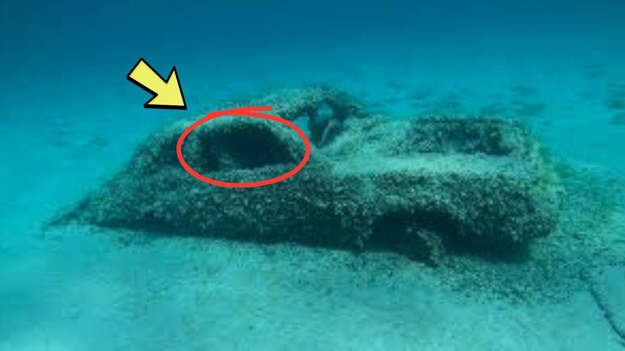 Diver Spots a Car on the Seafloor — What He Finds Inside Makes Him Turn Pale