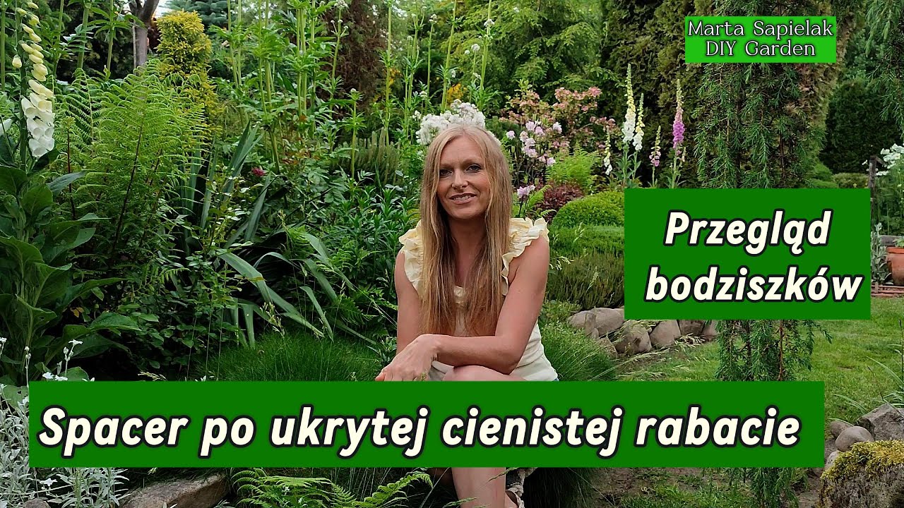 Spacer po ukrytej cienistej i przegląd bodzis