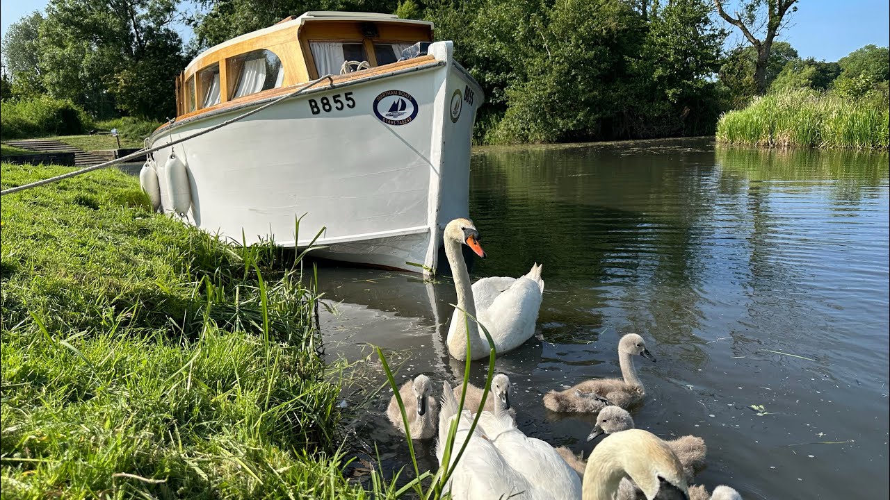How to boat on the Norfolk broads, vintage style.