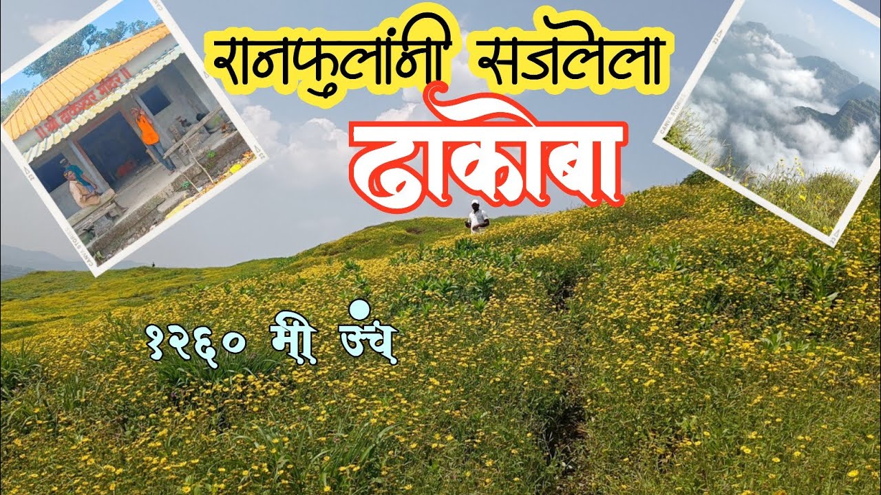 स्वर्गसुखाची अनुभूती देणाऱ्या  आडवाटा.. ढाका शिखर|ढाकेश्वर मंदिर|ढाकोबा#dhakoba#sonki#flowers