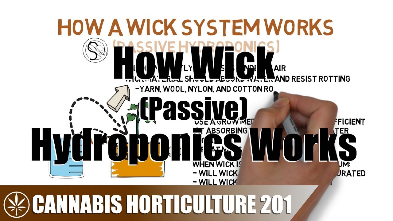 How A Wick Hydroponic System Works