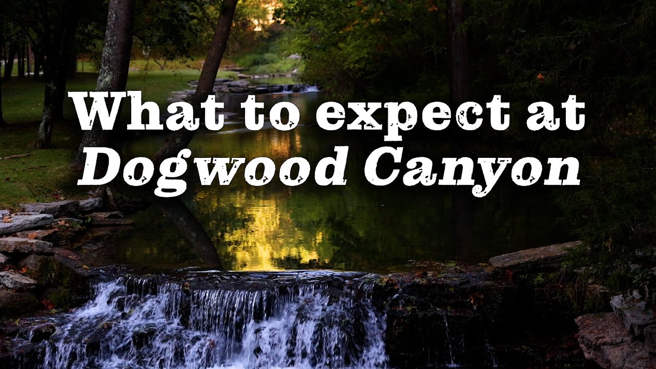 What to Expect at Dogwood Canyon Nature Park