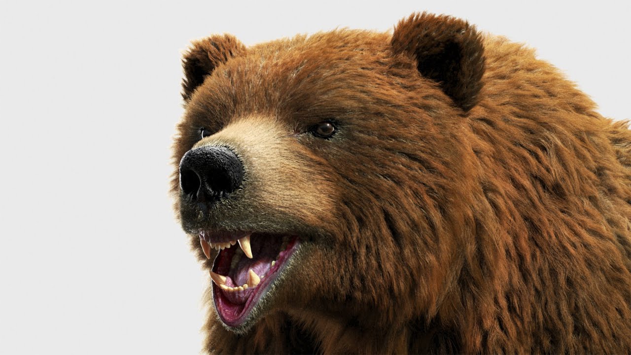 Brown Bear Modeling and Rendering using Zbrush 2019/3ds Max/V-Ray/Ornatrix - Timelapse