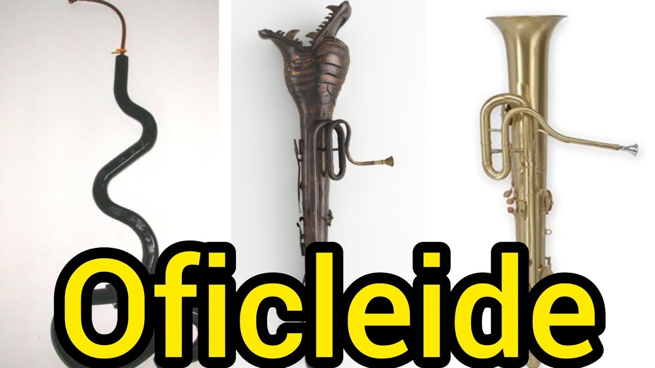 O OFICLEIDE 