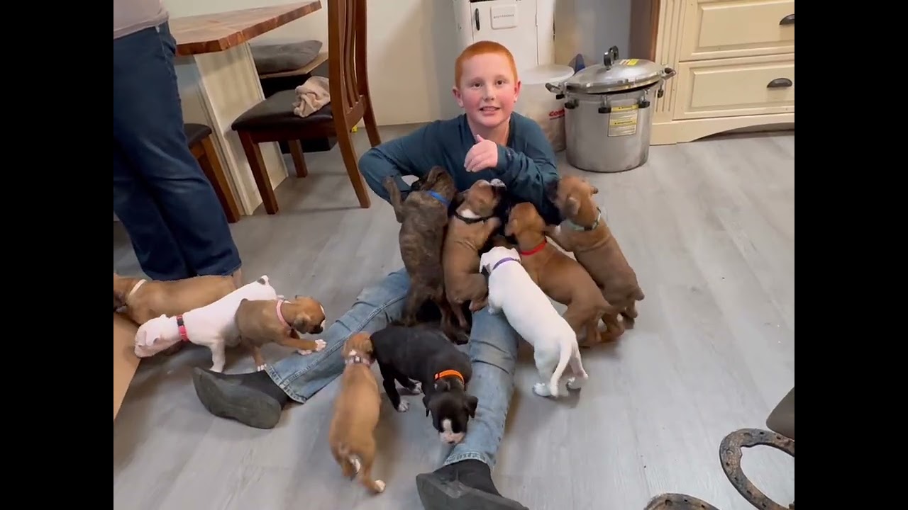 It was a Shapoopy Puppy Day!  🤣