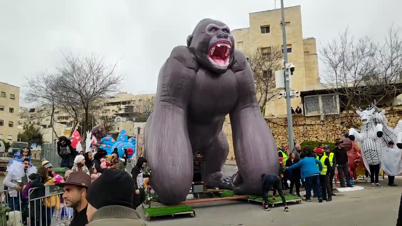 מבשרת ציון עדלאידע 2022