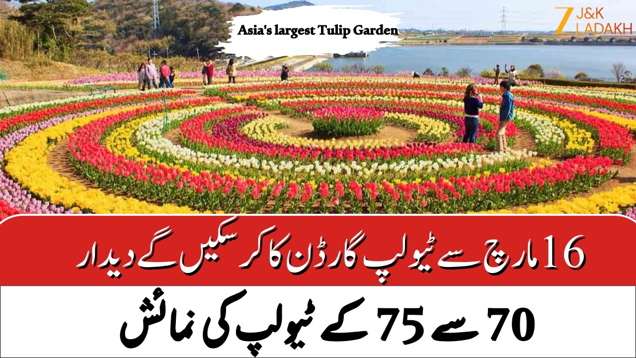 JK News : Asia’s Largest Indira Gandhi Memorial Tulip Garden to Open in Srinagar on March 16