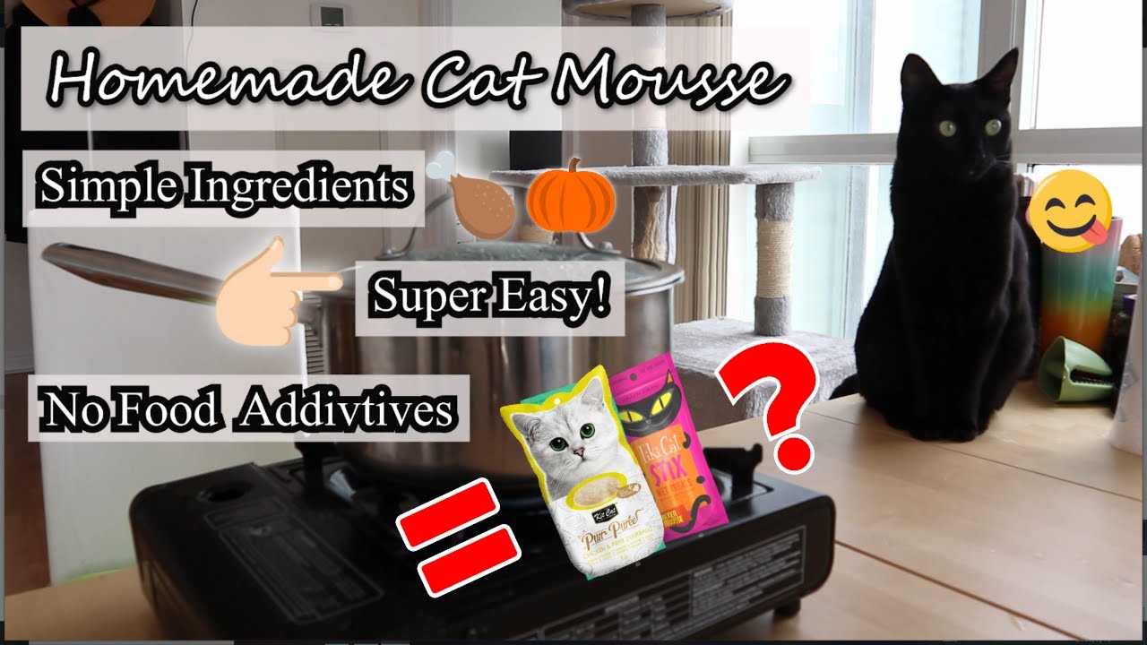 Super Easy Cat Mousse Recipe | Homemade Healthy Cat Treats