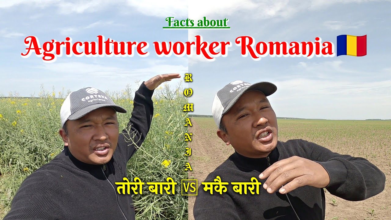 Romania 🇷🇴 || facts about agriculture worker 👷 || Nepali 🇳🇵 at Romania 🇷🇴