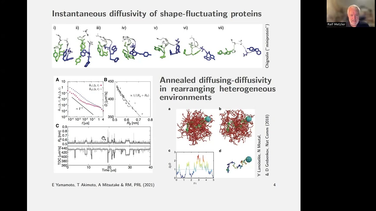 R. Metzler : Fractional Brownian motion with time- and space-dependent Hurst exponent