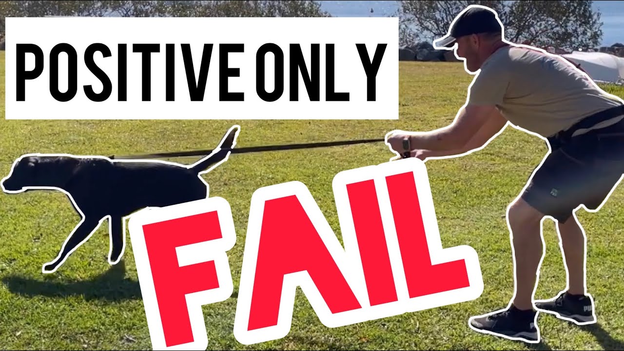 Positive only FAIL