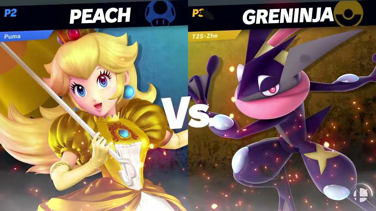 Practice w/ Puma, Borgledog, & Zhe