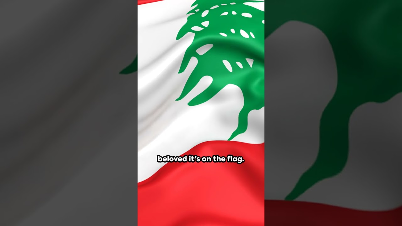Lebanon Laughs: 5 Fun Facts