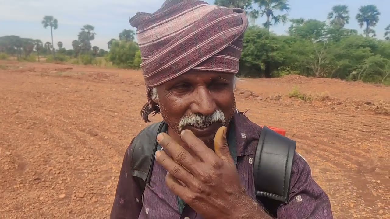 மானாவாரி நில நிலக்கடலை சாகுபடி செய்யும் முறை | Peanut groundnut harvester | Groundnut cultivation