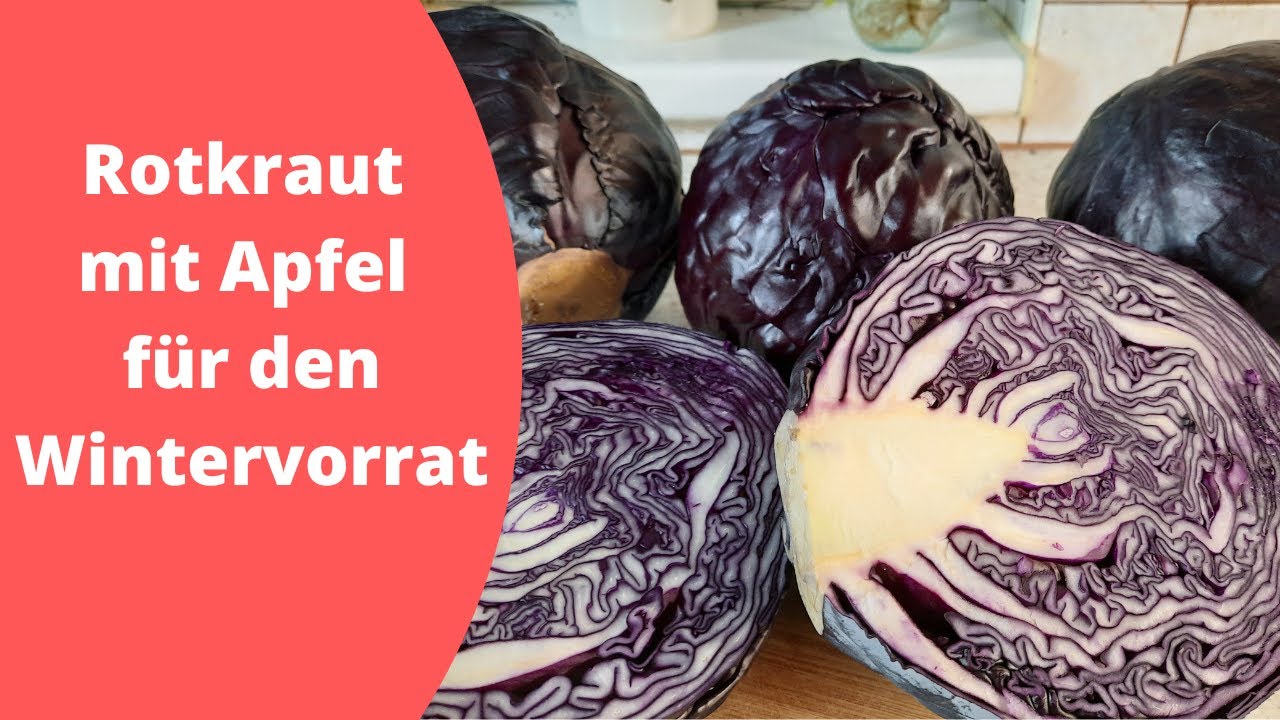 Leckeres Rotkraut mit Apfel für den Wintervorrat