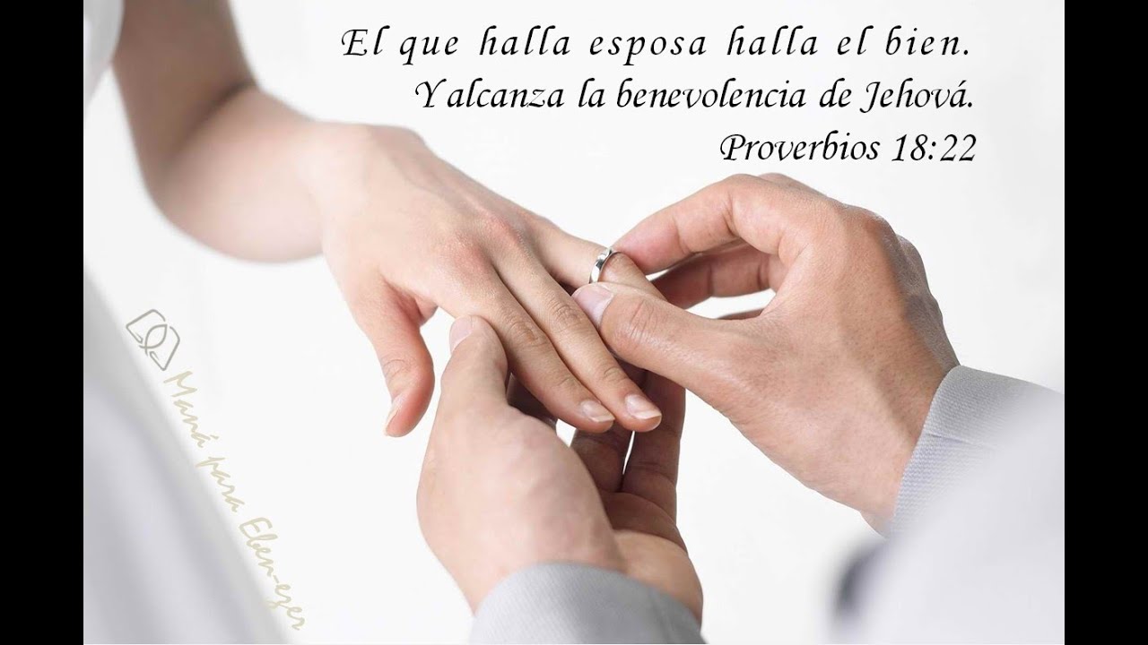 Un Enamoramiento en la Voluntad del Señor / Rev. Elvis Moncada