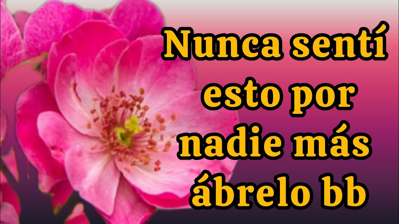 Nunca sentí esto por nadie más ábrelo bb