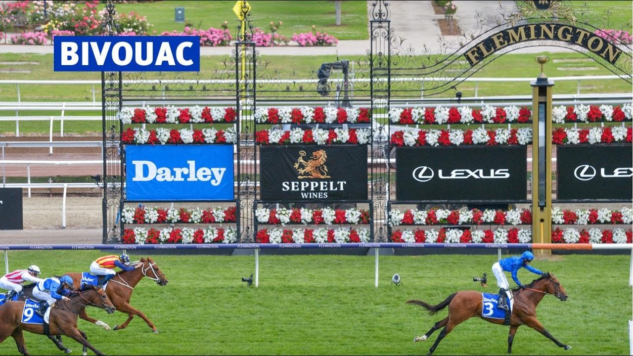Darley - BIVOUAC
