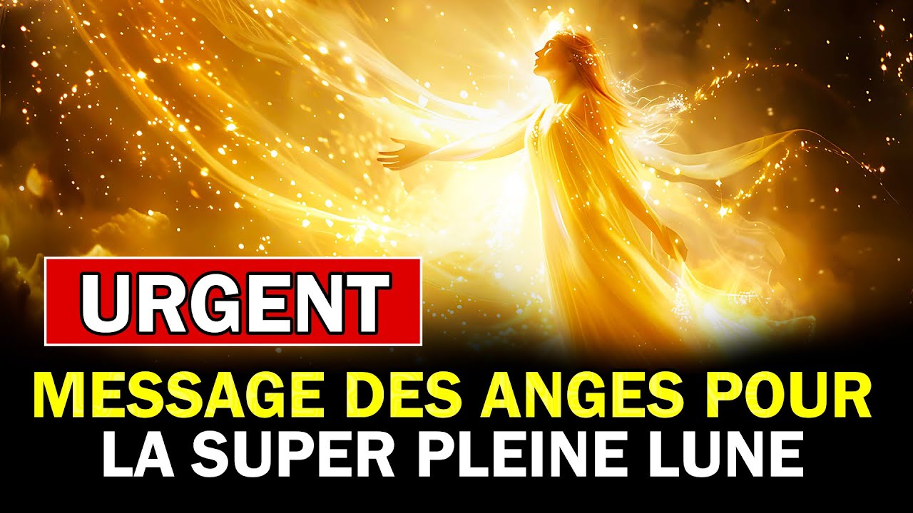 messages des anges pour la SUPER PLEINE LUNE ✨ 15 novembre 2024