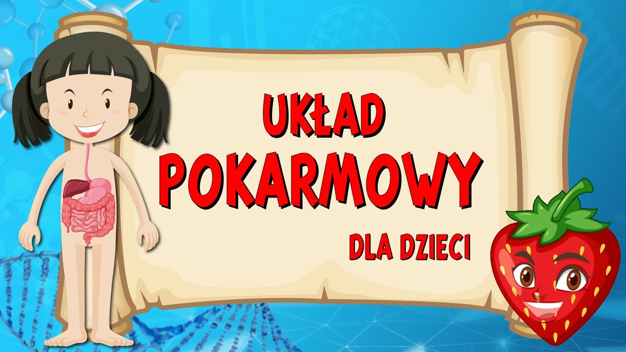 Układ pokarmowy 👅 Film edukacyjny dla DZIECI 🧒