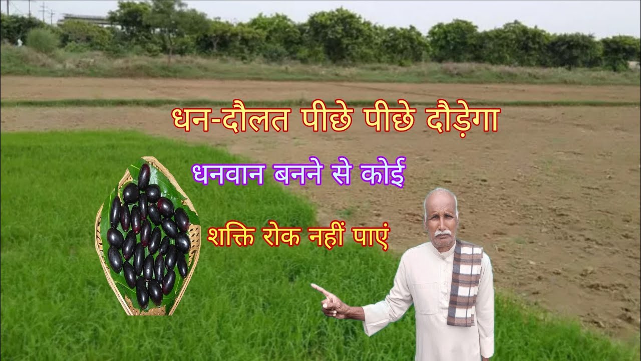 तंगहाली परेशानी जाने का नाम नही सोच विचार सब फेल तो इसे जरूर करें