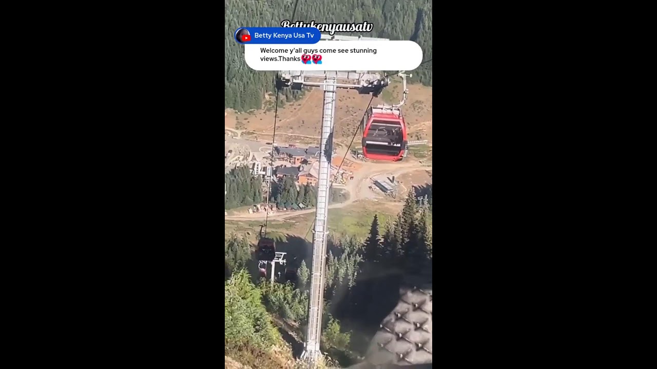 Живописная прогулка на гондоле на горе Ренье в Кристал-Маунтин🇺🇸#исследования#развлечения