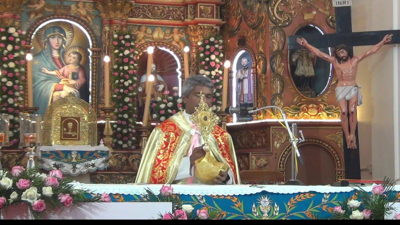 വെച്ചൂര്‍ മുത്തിയുടെ എട്ടാമിടം തിരുന്നാള്‍- (14-09-2025) വി.കുര്‍ബാന ഫാ.ഫ്രെഡ്ഡി കോട്ടൂര്‍