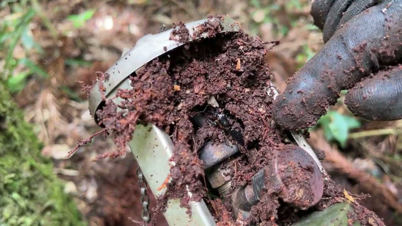 BISAVÔ morto aparece e revela algo CHOCANTE para este Homem