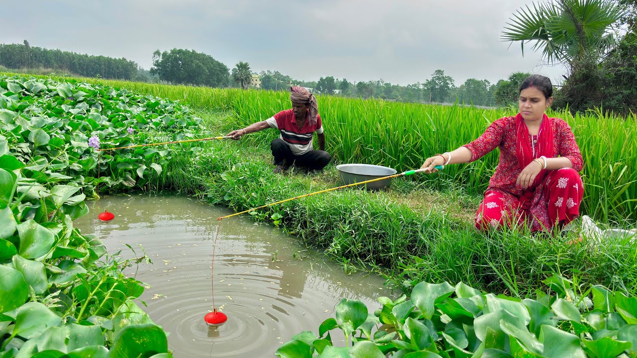 Unique Hook Fishing🎣🎣|| Two Village fisharman Fishing in paddy water canal catch fish. fishing video