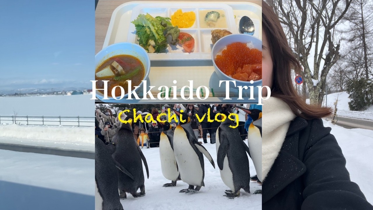 【北海道ひとり旅】冬の旭川Vlog｜旅先でもまさかの英会話…？☃｜雪景色❄️｜ご褒美ご飯 🍣