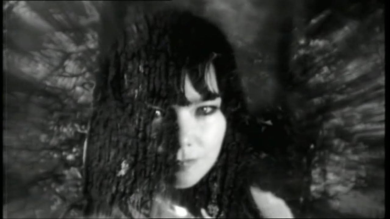 Inside Bj&ouml;rk Documentary (Vietnamese subtitle)