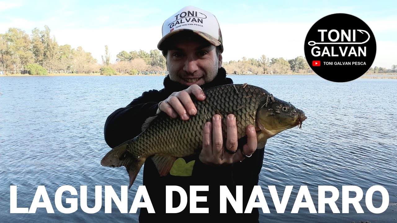 PESCA EN LAGUNA DE NAVARRO 19-07-2025 #PESCA #FISHING #CARPAS #CARPFISHING