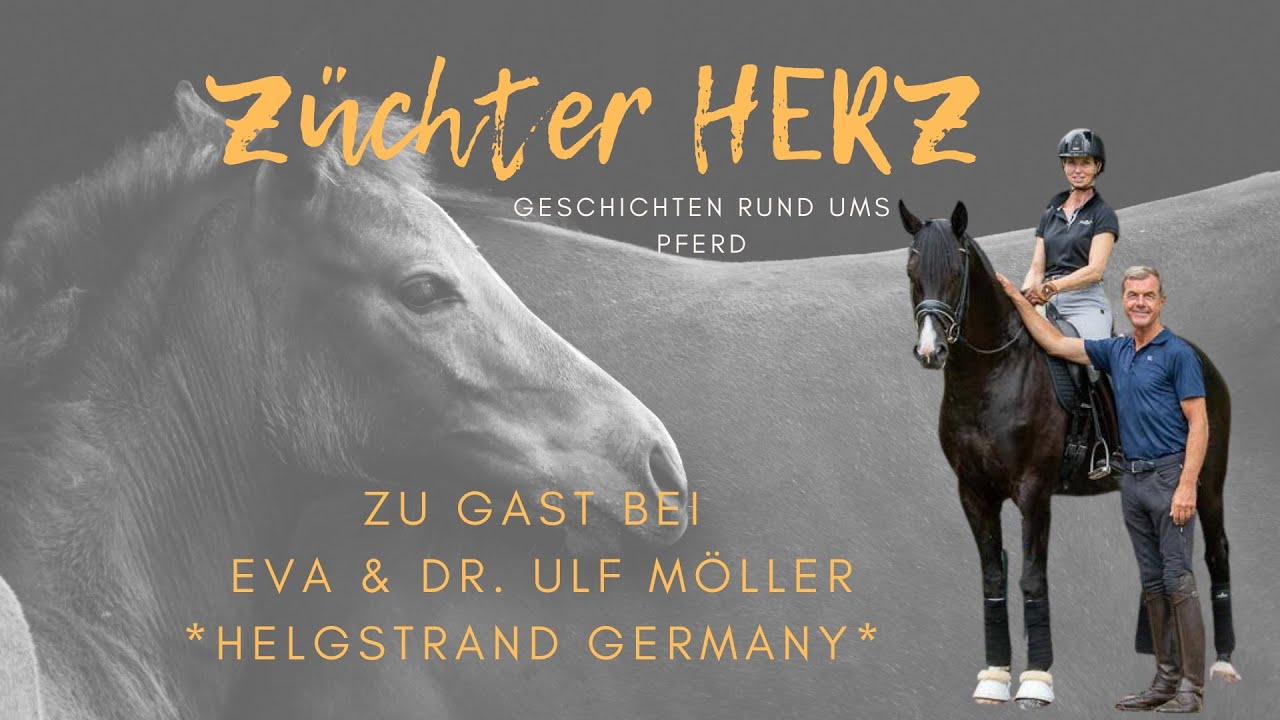 ZüchterHERZ zu Gast bei Eva & Dr. Ulf Möller - Helgstrand Dressage Germany - TEIL 1