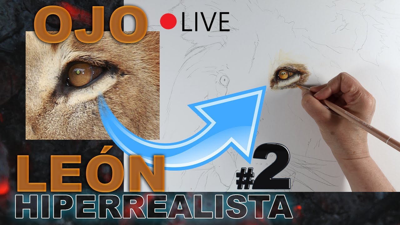 Cómo dibujar el OJO  de un LEÓN HIPERREALISTA  con lápices de colores❓ MASTER CLASS PROYECTO LEÓN #2