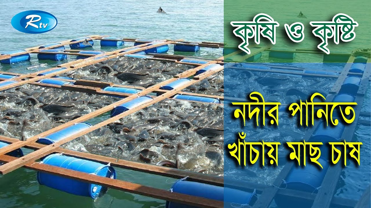 Krishi o Krishti | নদীর পানিতে খাঁচায় মাছ চাষ | Ep - 106 | Rtv Lifestyle | Rtv