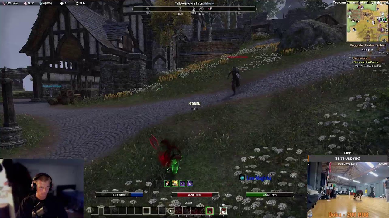 [PC Stream] #LetsPlay ESO, Skate.