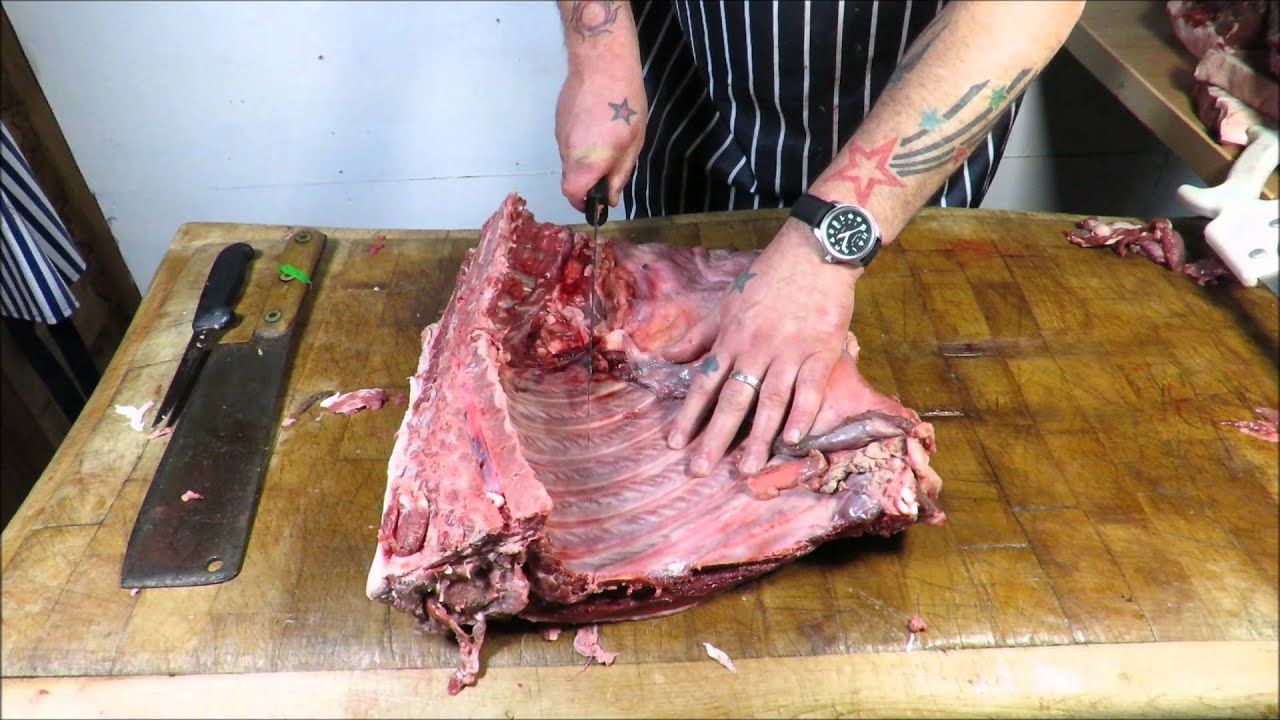 How To Butcher A Wild Boar/Hog. TheScottReaProject.