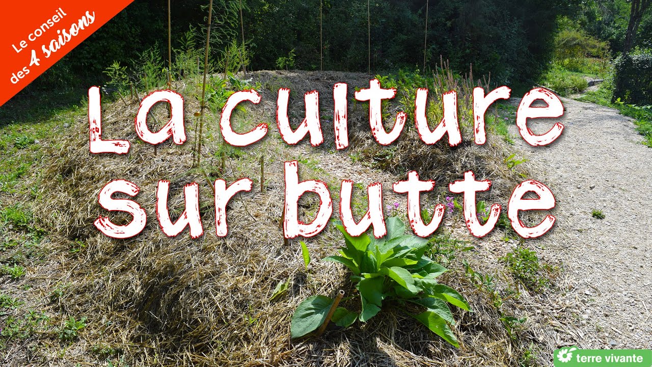 La culture sur butte - Le conseil des 4 saisons