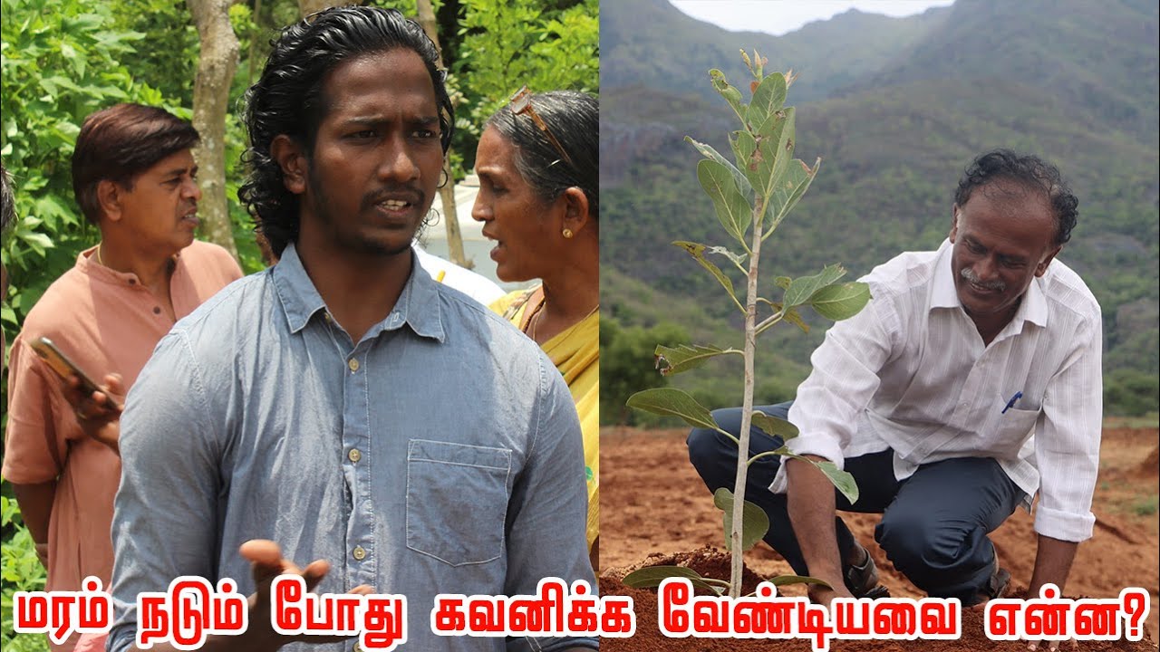 இந்த முறையில் மரங்களை நட்டால் குறைவான தண்ணீரில் அதிக மரங்களை வளர்க்கலாம் Deep Root Irrigation System
