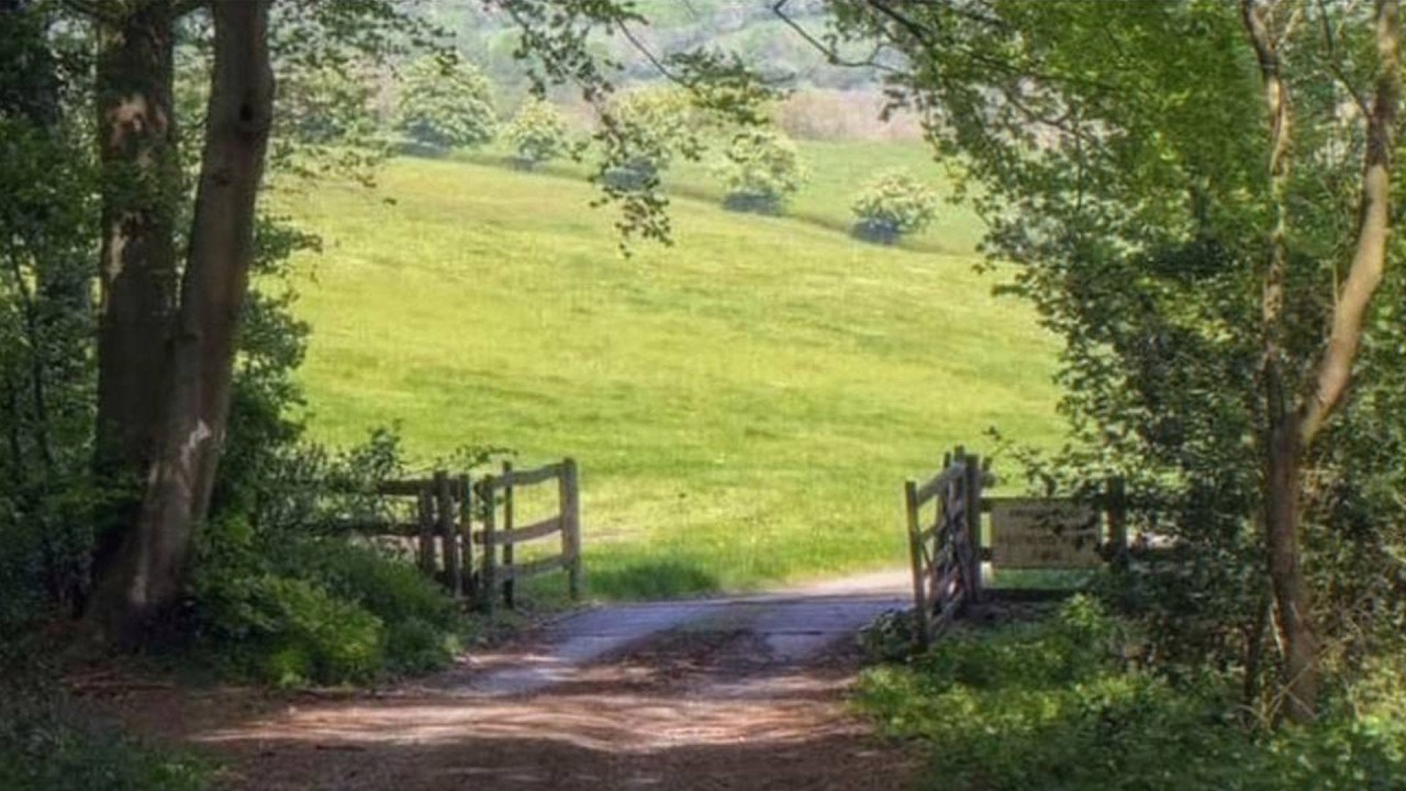 a quiet playlist for a quiet day in the english countryside (study / read / write)🌱