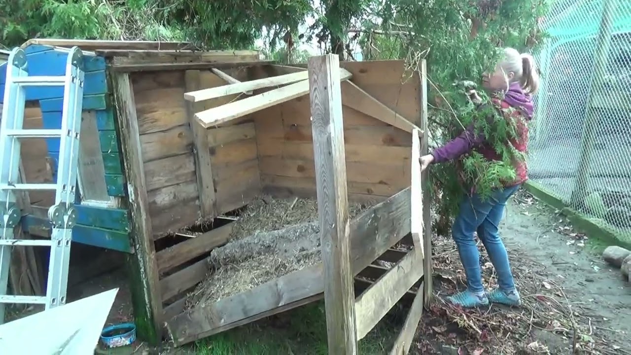 Budowa woliery dla kaczek mandarynek dzień kolejny,Construction of an aviary for mandarin ducks anod