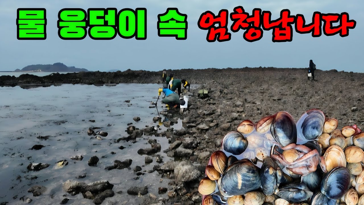 바닷속에 잠겨있던 물 웅덩이 드러나 보니 난리입니다