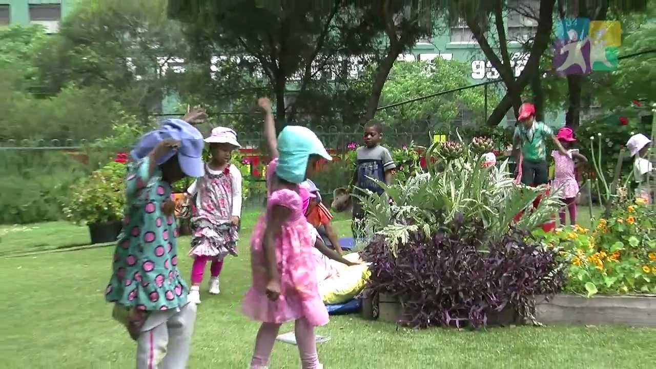 Have you thought about...? NQS PLP - Natural play in your environment ?