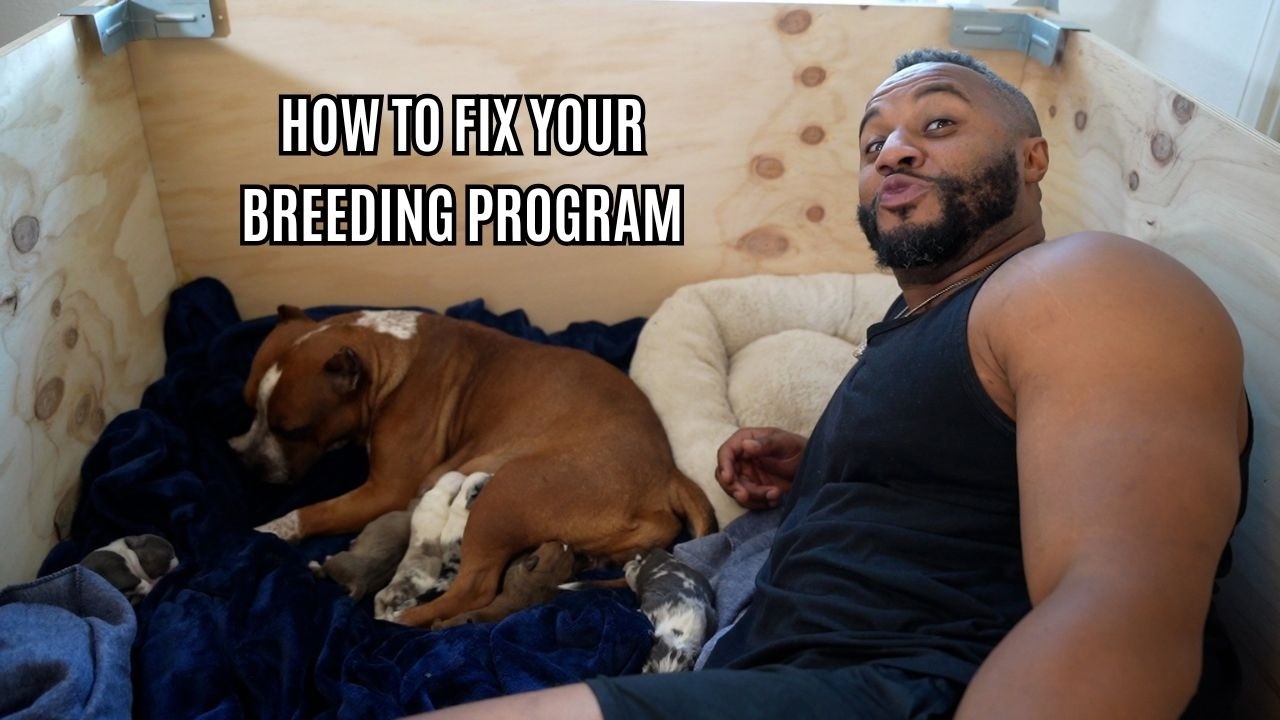 How to Fix Your Breeding Program