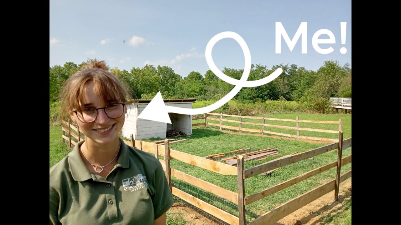 Internships at the Conococheague Institute: Mikaela's Story