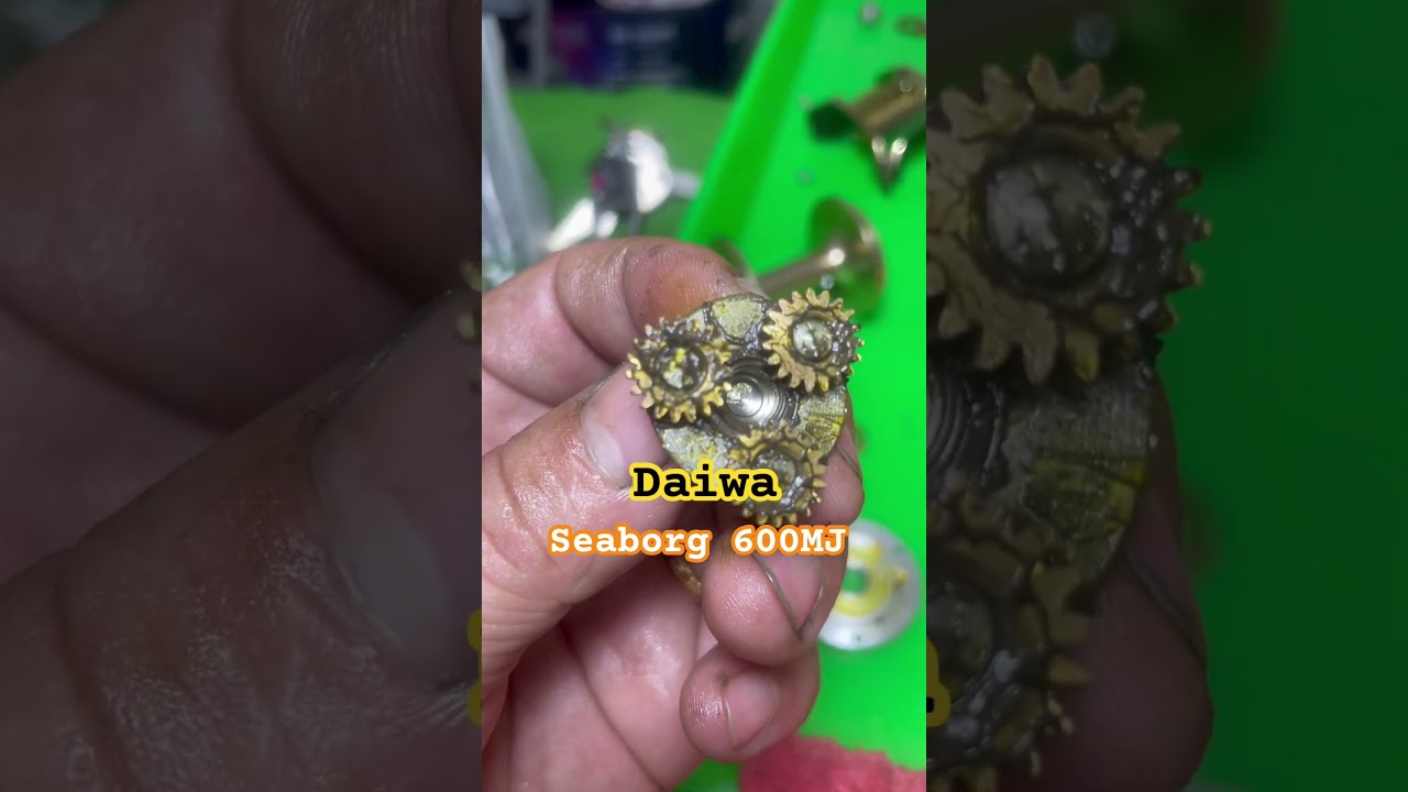 Daiwa Seaborg 600MJ #fishing