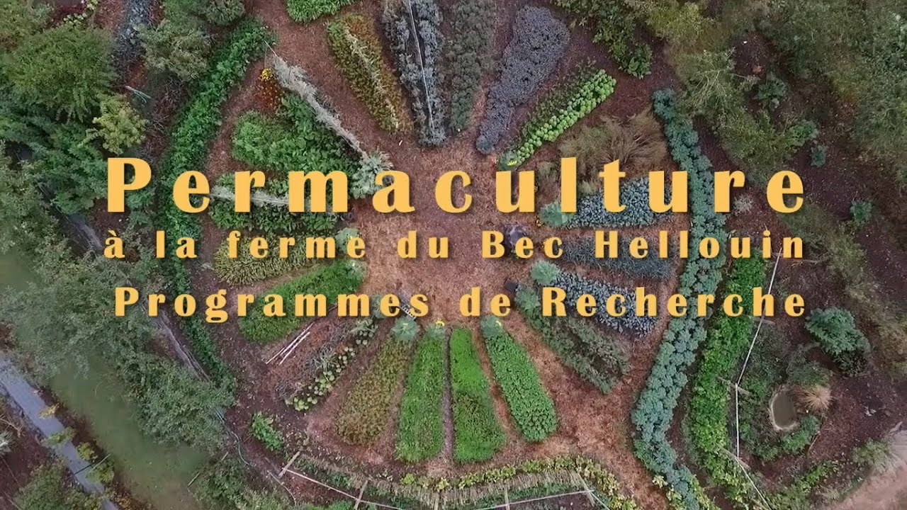 Recherche à la ferme du Bec Hellouin - microferme et forêt jardin
