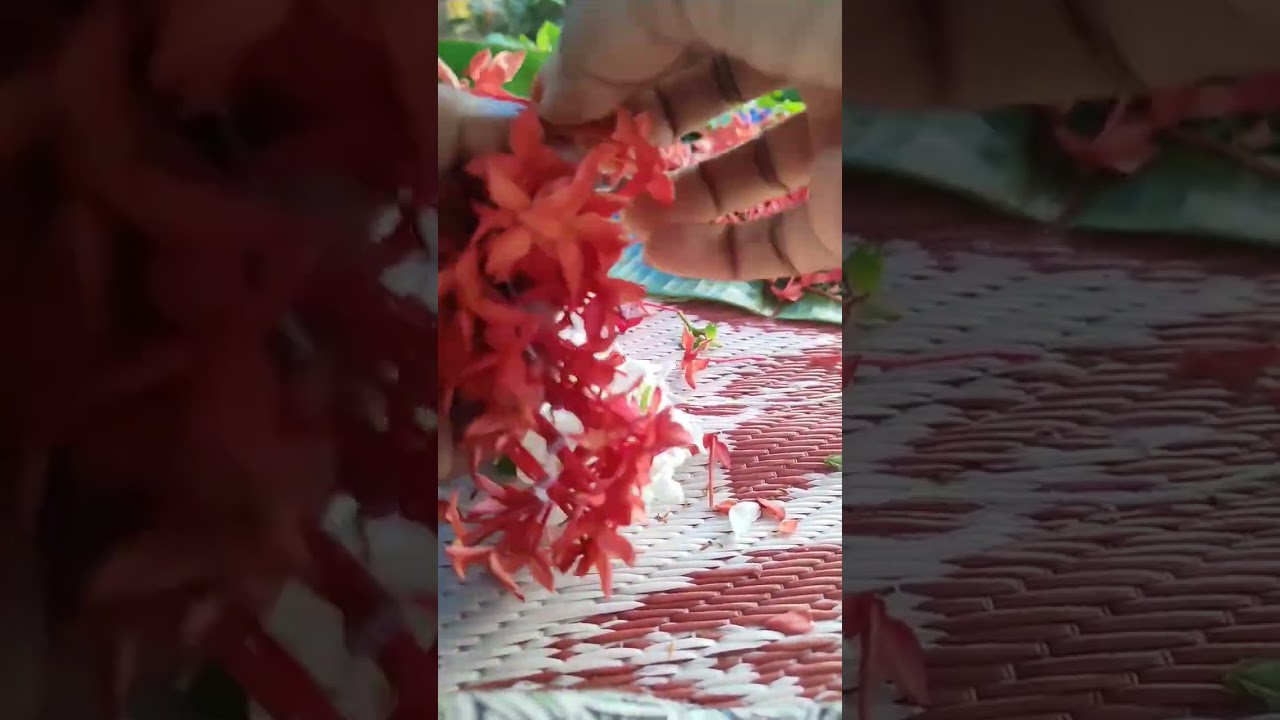 Garland/മാല  making  with flowers / Tie a flower garland 