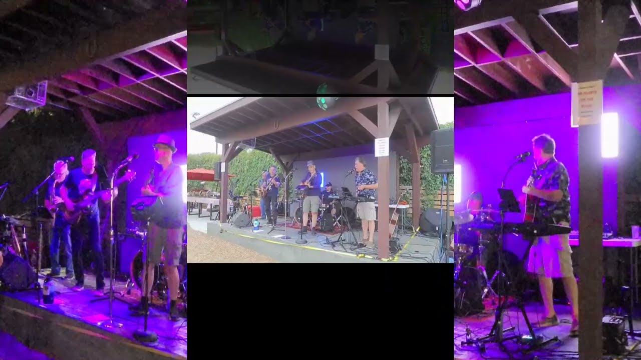 Mark Ham Band Live 2